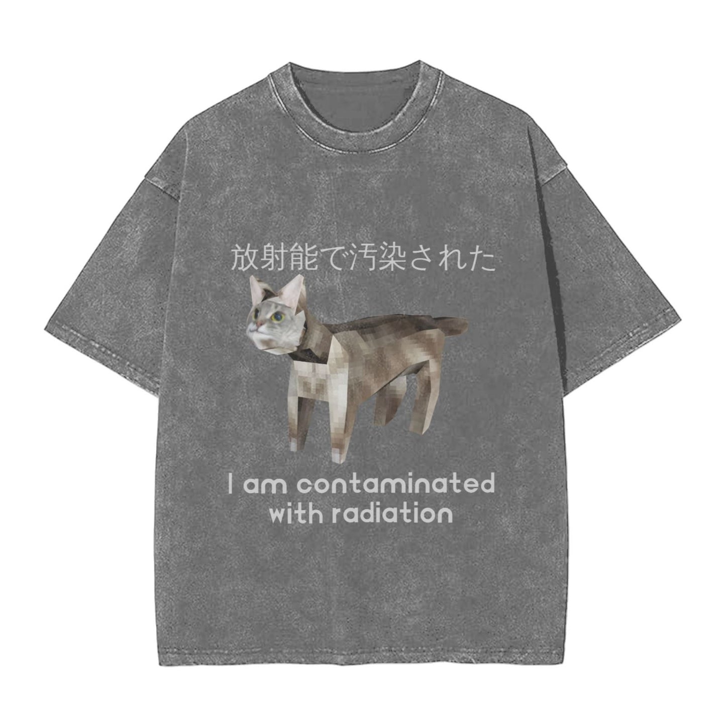 Osaka Lion Nuclear Radiation Cat Washed T-Shirt