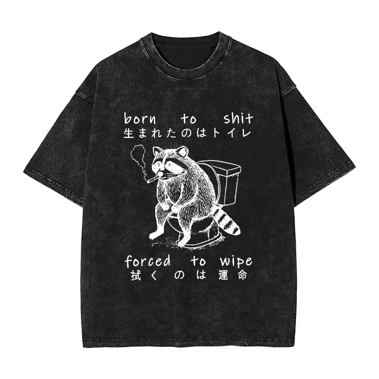Osaka Lion Decadent Raccoon Washed T-Shirt
