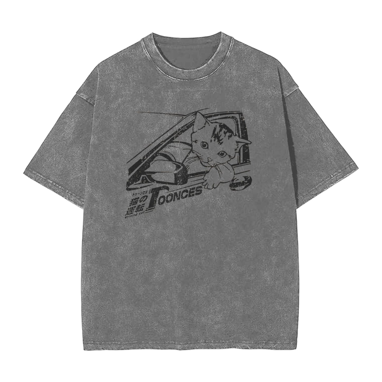 Osaka Lion Kitten Is Driving Washed T-Shirt