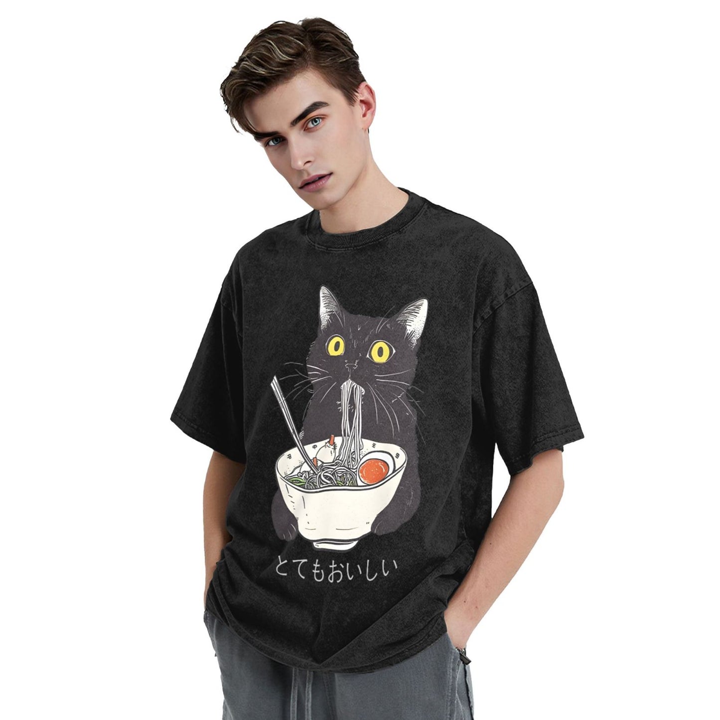 Osaka Lion Cats Eat Ramen Noodles Washed T-Shirt